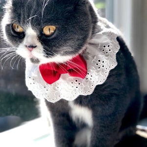 Cat Collar Vintage Majestic Bow Tie With Eyelet Lace Collar - Etsy