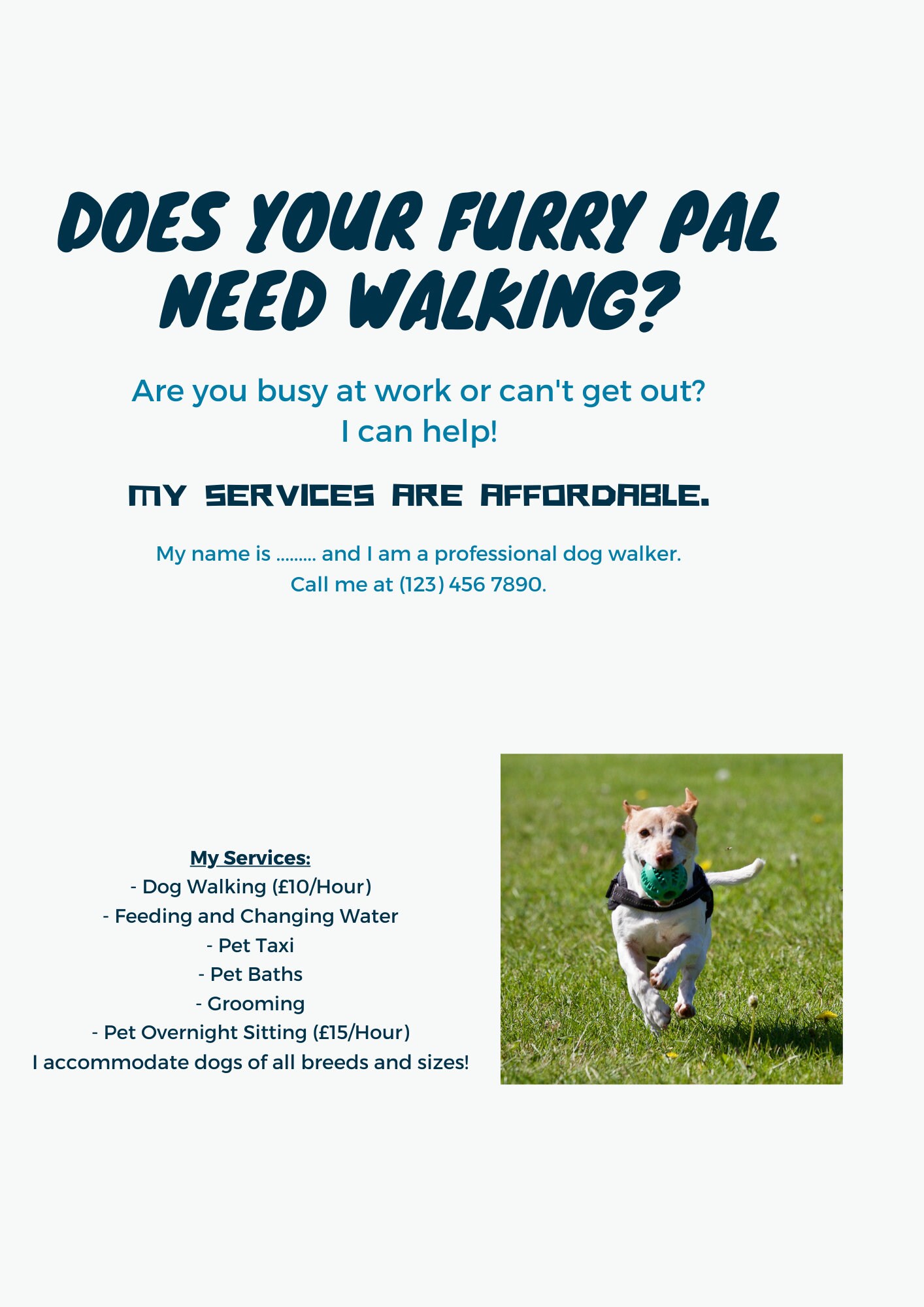 How Much Do Dog Walkers Make An Hour