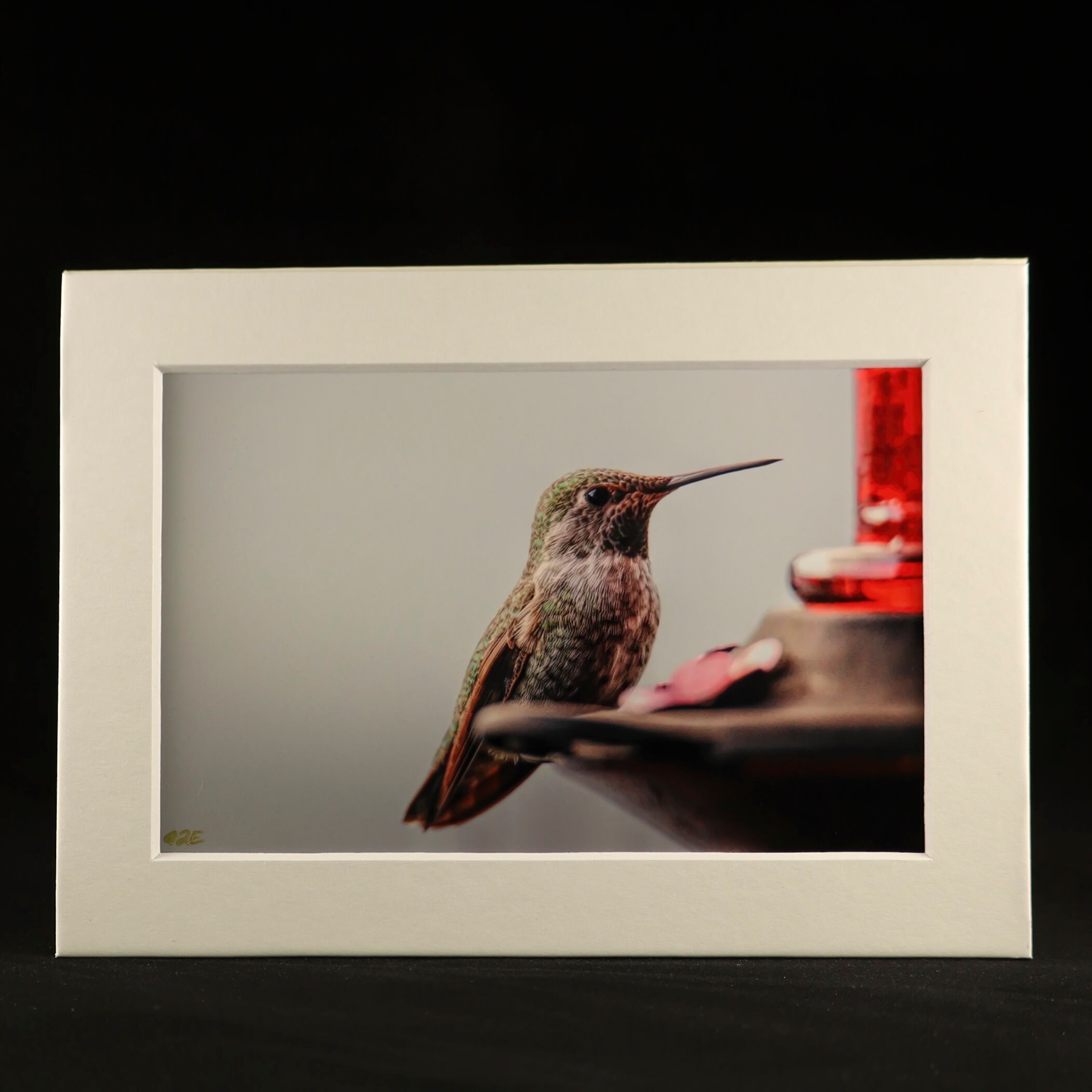 Greeting Card. Original Photography.5x7 in.Blank Inside. Etsy