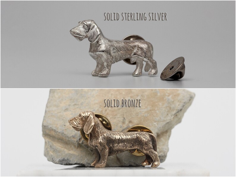 pin wire haired dachshund