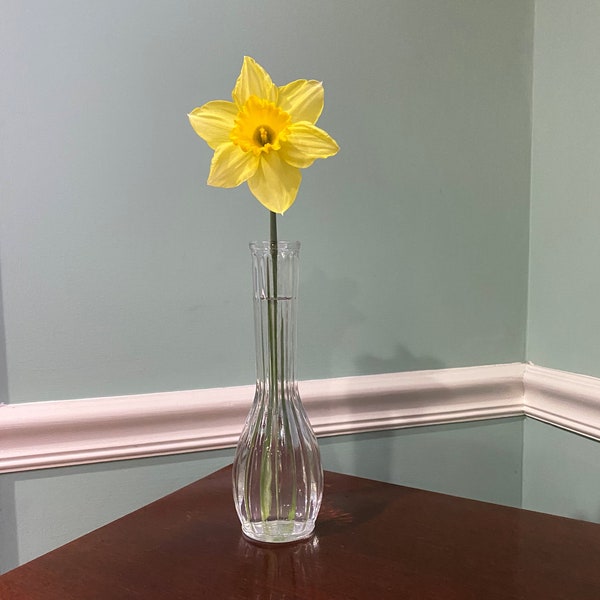 9" Tall 1960's Clear Pressed Glass Bud Vase GGG 2900 - Ribbed Panel - Flat Rim and Round Bottom - Clear