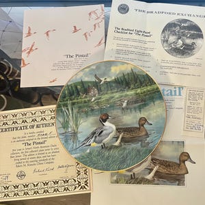 May include: A decorative collector's plate titled "The Pintail" featuring a detailed painting of ducks in a natural wetland setting. The plate has a gold rim and is accompanied by certificates and informational documents. The plate is part of the first collector's plate series by artist Bart Jerner.