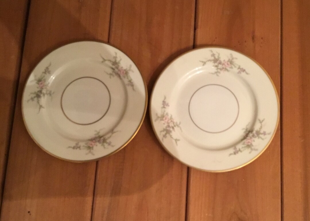 6 Royal Jackson Fine China Vogue Ceramic Industries / Set of 2 Plates