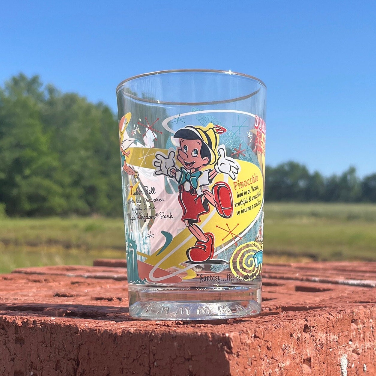 Pinocchio Fantasy Promotional Mcdonald's Glass Tumbler Walt Disney
