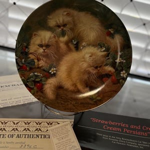 May include: A decorative plate featuring three fluffy, light orange Persian kittens amidst strawberries and white flowers. The plate is part of the "Strawberries and Cream: Cream Persians" series.