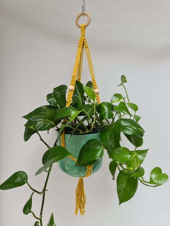Macrame hanging planter indoor