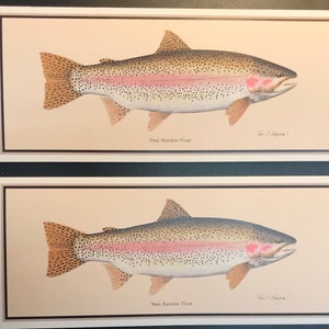 Cartes de voeux classiques de truite arc-en-ciel de Fish Art (lot de 2) avec enveloppe numéro 10