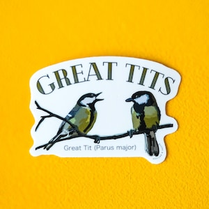 Vinylsticker koolmeesvogels - waterdichte en duurzame sticker met natuurthema voor vogelspotters