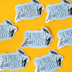 Sticker probleem met pikken - grappige vogel woordspeling vinyl sticker, specht humor sticker, natuurliefhebber cadeau, waterdichte sticker