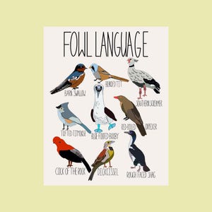 Póster sobre el lenguaje de las aves: arte de pared con un divertido juego de palabras sobre aves que presenta al piquero de patas azules y sus amigos