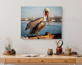 Fotografía de pelícanos en la costa de California: arte mural de vida silvestre costera, arte de aves del océano Pacífico, impresión de bellas artes junto al mar