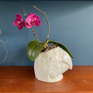 Maceta de cerámica de mediados de siglo, loro, pájaro, guacamayo, periquito, cerámica de diseño. Loro vintage