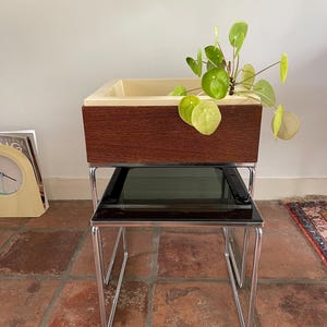Könnte beinhalten: Ein Satz aus zwei verschachtelten Tischen mit einem verchromten Gestell und Glasplatten. Der obere Tisch hat einen Holz-Pflanztopf mit einem hellbeigen Innenraum und einer grünen Pflanze.