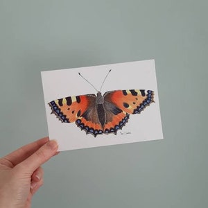 Kaart aquarel illustratie van een vlinder