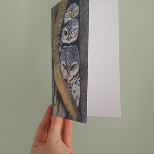 Grande carte postale avec trois hiboux avec enveloppe blanche. Impression d'illustration aquarelle