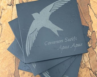 Slate Engraved Coaster - Common Swift - English Birds Set of 4