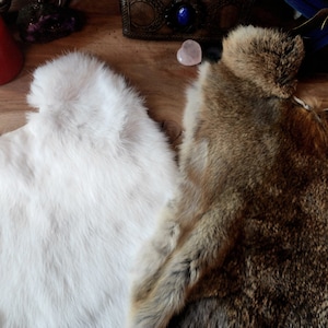 Baphomet Rabbit Hide Altar Cloth – Demon Pagan Ritual Centerpiece Mat ...