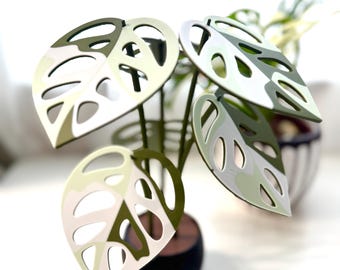 3d Printed Faux Albo Adanonsii Plant Coaster Set | Indoor Garden Decor | Plant Lover Gift | Cottagecore | Hygge