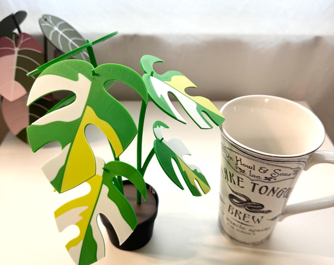 3d Printed Faux Variegated Rhaphidophora Tetrasperma Plant Coaster Set | Indoor Garden Decor | Plant Lover Gift | Cottagecore | Hygge