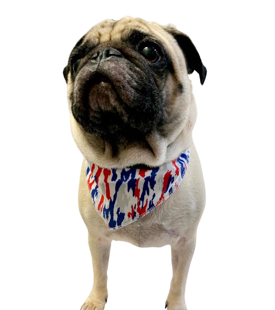 60 Assorted NATIONAL DAY / PATRIOTIC Tieback Dog Grooming Bandanas