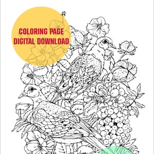 Mourning Dove Coloring Page, Digital Download File, DIY Painting and Coloring, Bird Coloring Page, JPEG and PDF files, KingaRooArt
