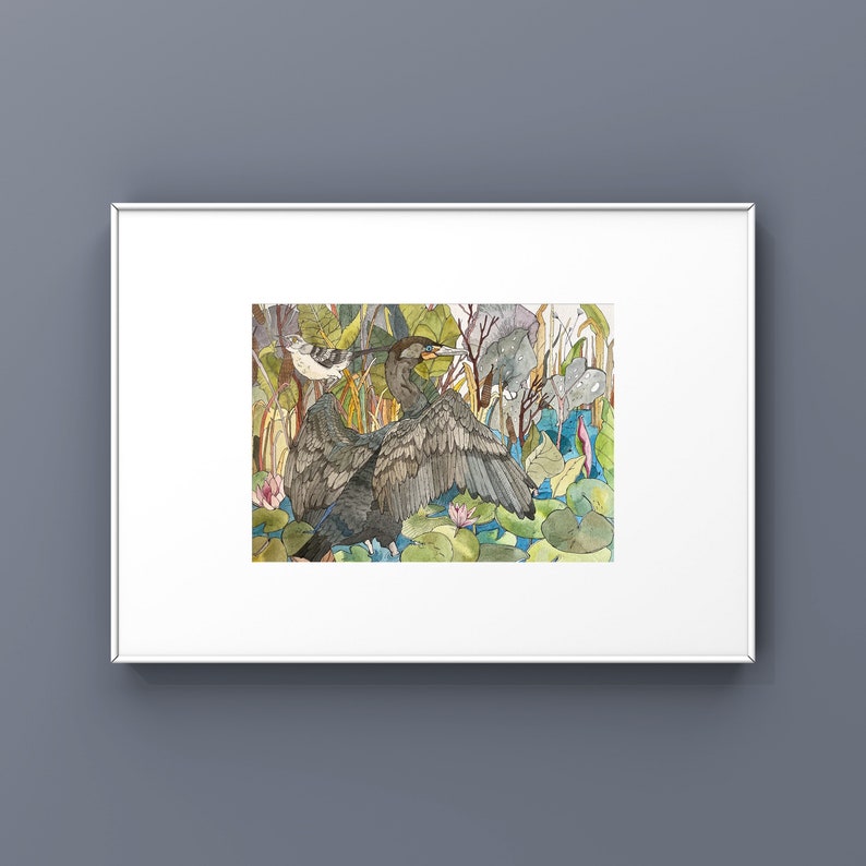 Commodore Bird Art Print. Commodore Bird Watercolor Print. Etsy