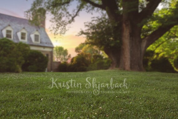 Backyard Sunset Digital Backdrop Etsy