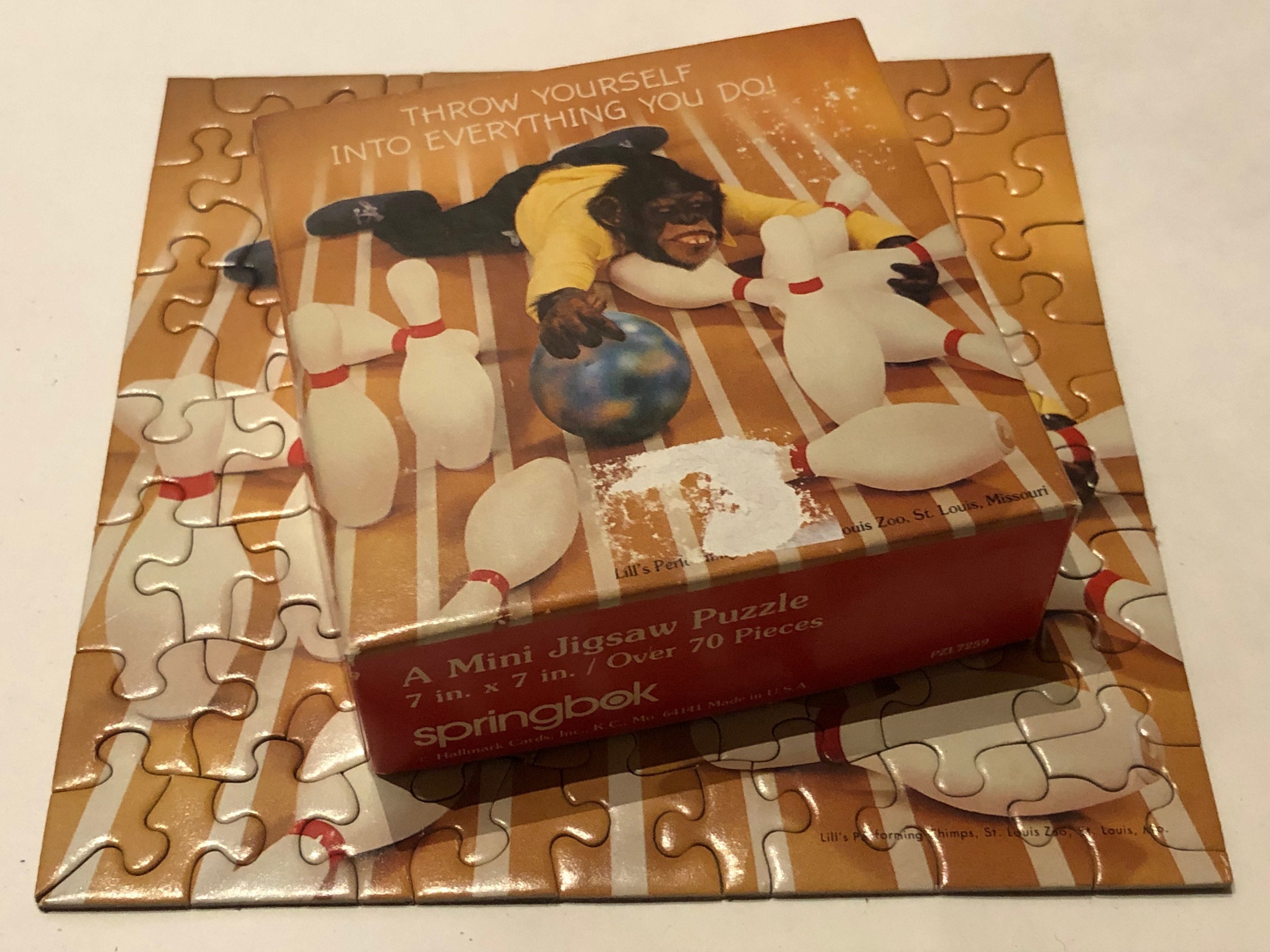 Springbok's 36 Piece Jigsaw Puzzle Eiffel Magic