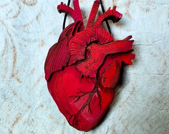 Anatomical Heart Ornament