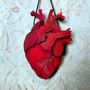 Anatomical heart pillow clearance
