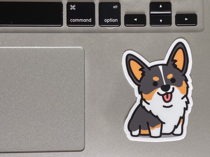 corgi stuff
