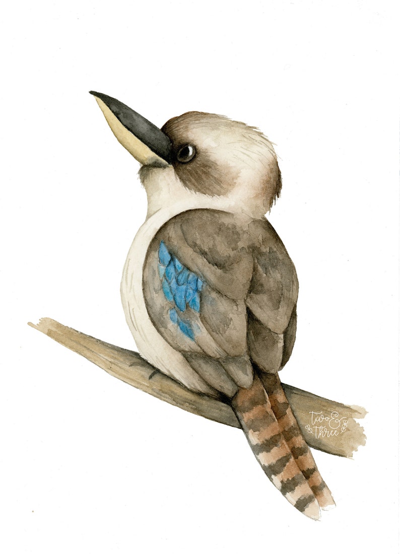 Kookaburra Watercolour Art Print A4 Nursery Australian Etsy Australia