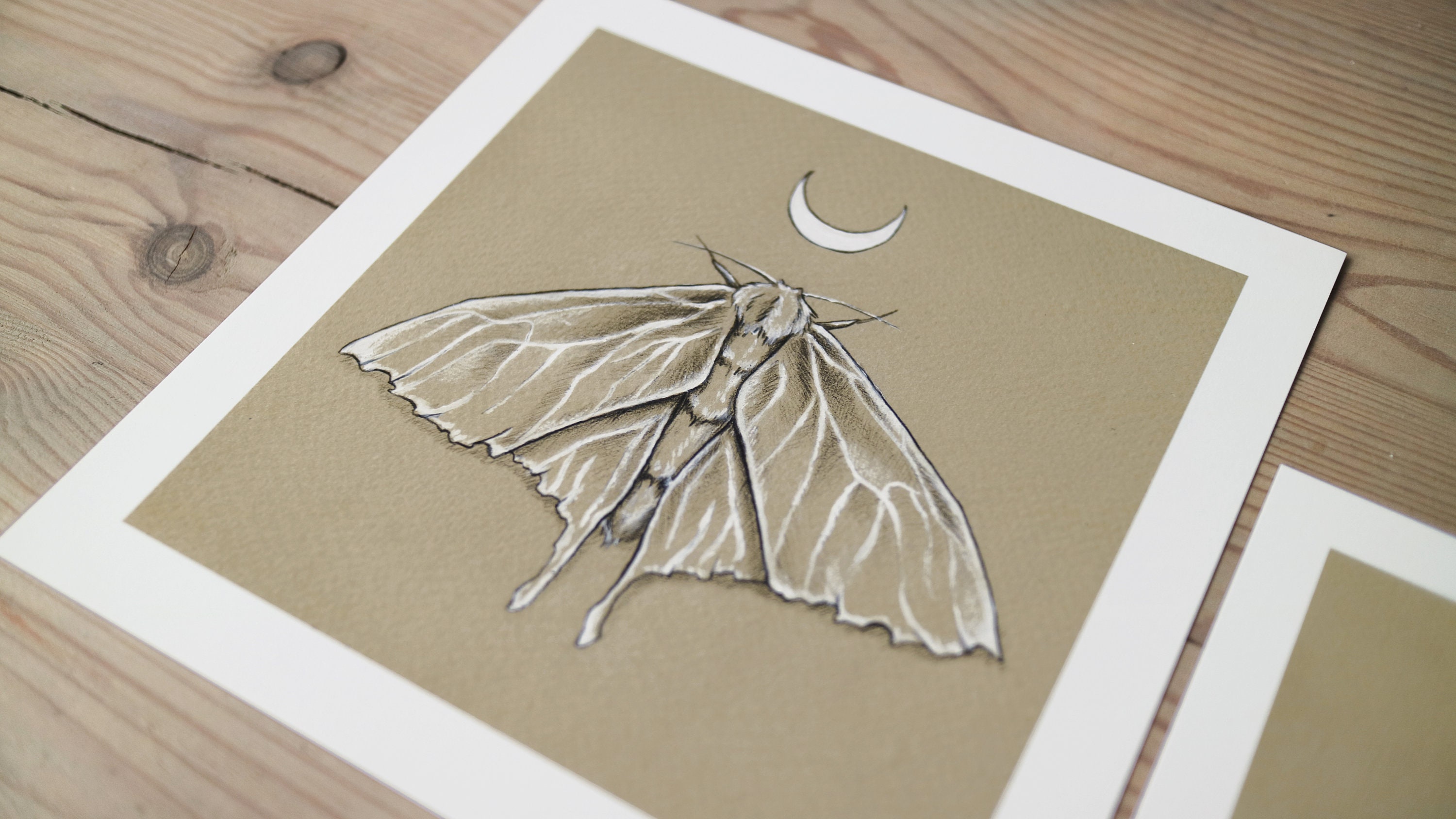 Lunar Moth Paper Art Print. Moth and Moon Wall Decor. Dark | Etsy