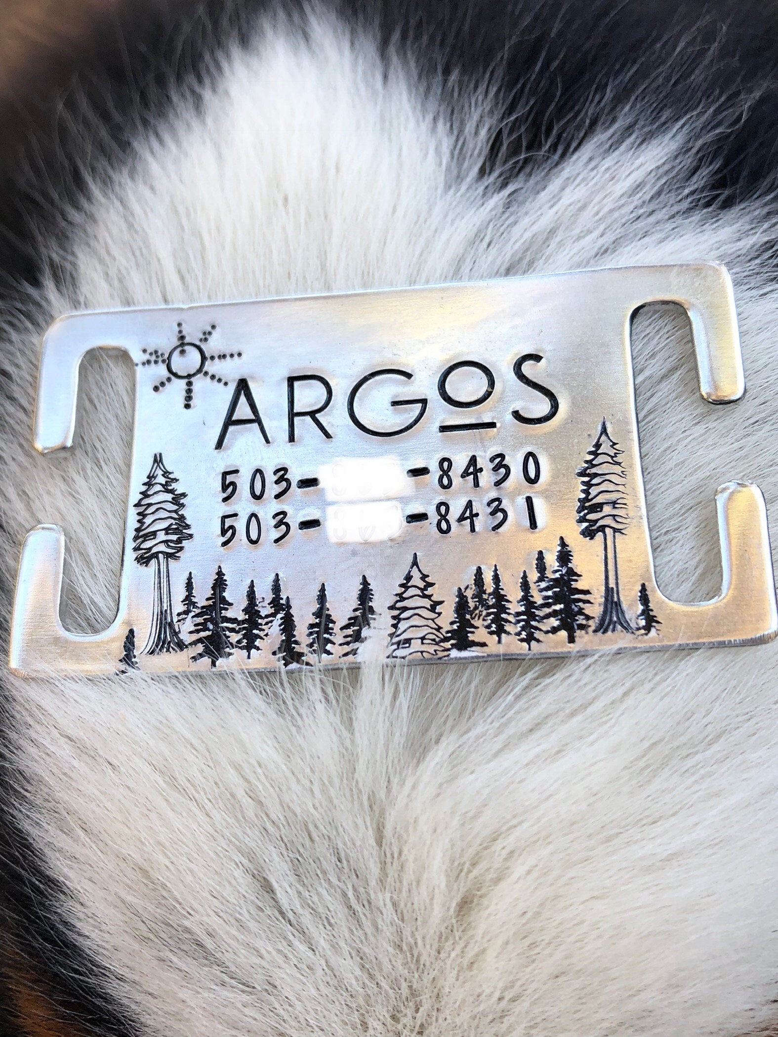 PNW Woods Dog Tag Slide Collar Etsy
