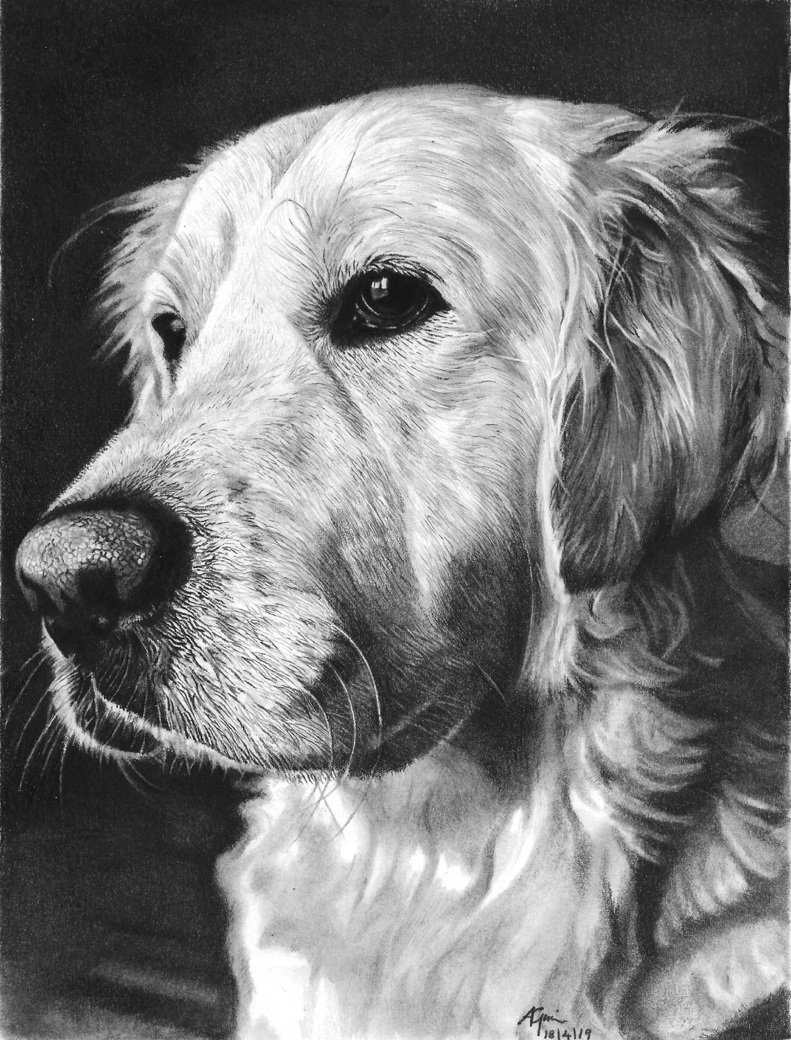 Golden Retriever realistic portrait drawing of dog Print | Etsy