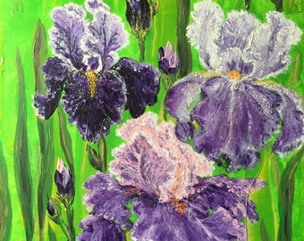 Irises
