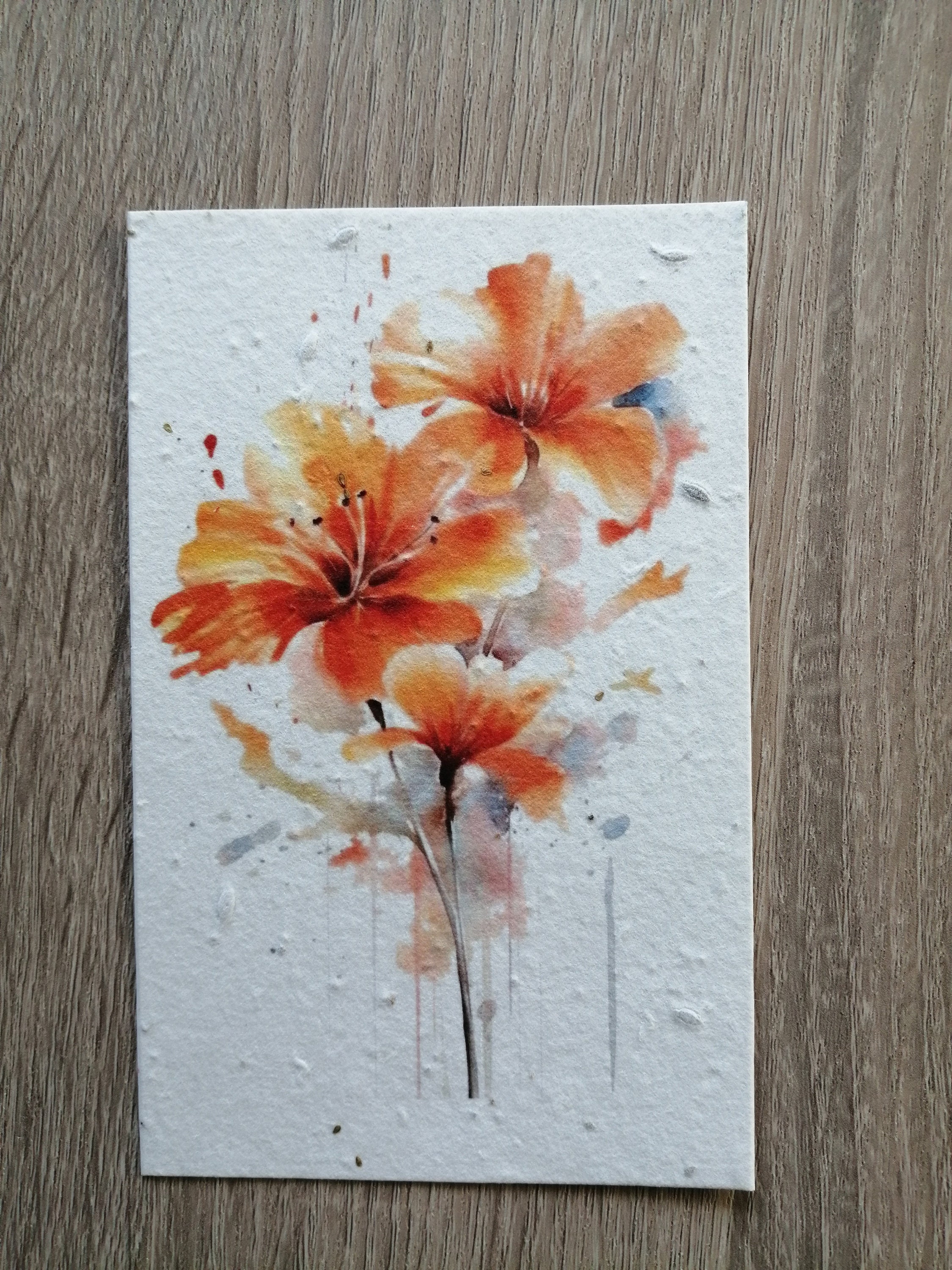 Carte postale papier aquarelle avec enveloppe photo toile d'araignée –  Regards Naturalistes