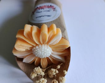 Gänseblümchen aus Pflanzenwachs, Geschenk für Lehrerin, Kindermädchen, Geburtstag, Muttertag, ... personalisierbar