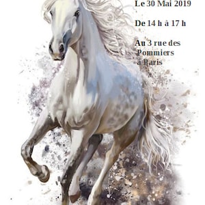 carte invitation anniversaire, modèle  cheval, au choix, personnalisable