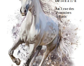 carte invitation anniversaire, modèle  cheval, au choix, personnalisable