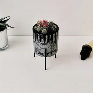 Grey Skull Planter, Skulls Plant Stand, Ceramic Indoor Flower, Gothic Succulent Plants, Goth Cactus Gift, Weird Wonderful Ceramics, Emo Home