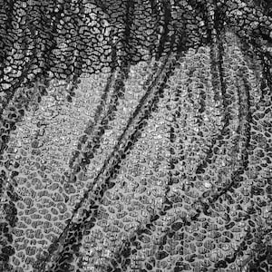 Burnout Velvet Leopard Fabric – Silver Foil Animal Print Mesh, 2-Way Stretch