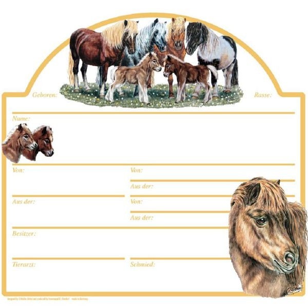 Stalltafel Boxenschild  SHETTLAND PONY  138584