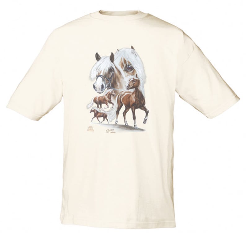 Kinder-T-Shirt mit Pferdemotiv HAFLINGER-NILSON Bild 1