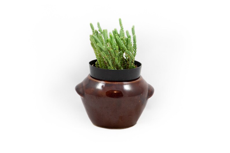 Succulent Planter Cactus Planter Vintage Brown Ceramic Planter Cachepot