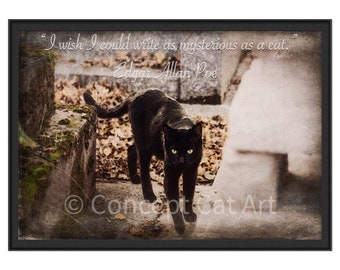 Photographie De Chats Et Art Felin Par Jacques Par Conceptcatart