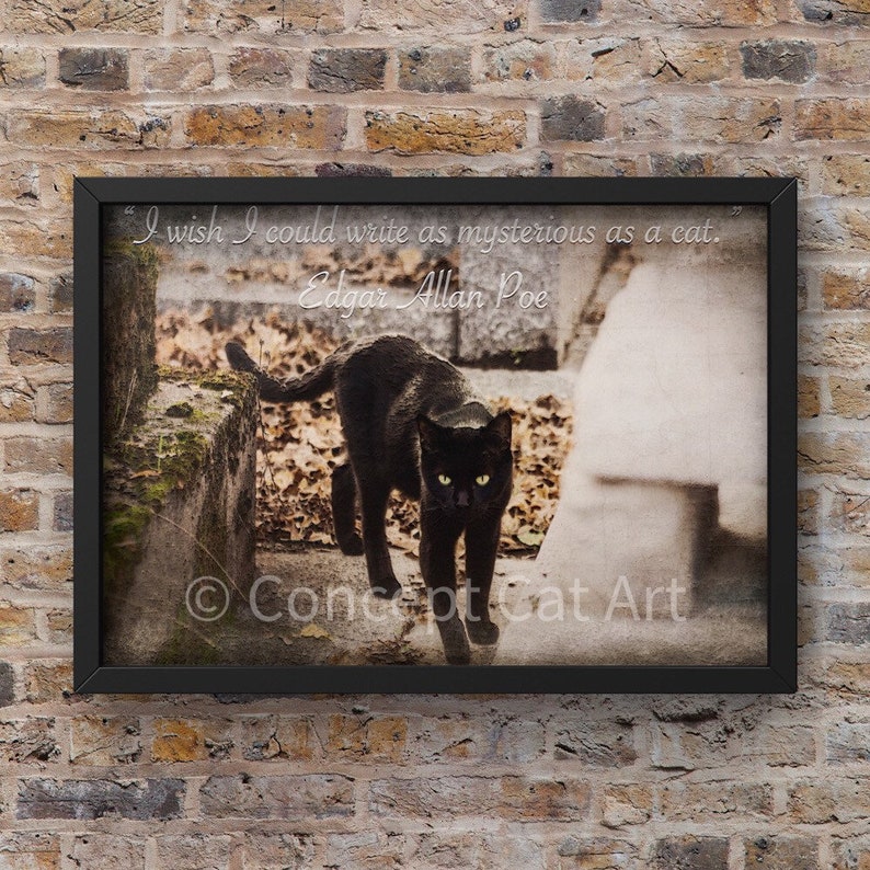 edgar allan poe cat in the wall edgar allan poe cat in the wall