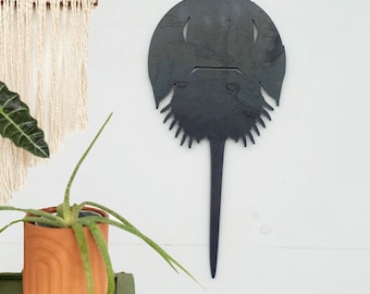 Horseshoe Crab Wall Decor