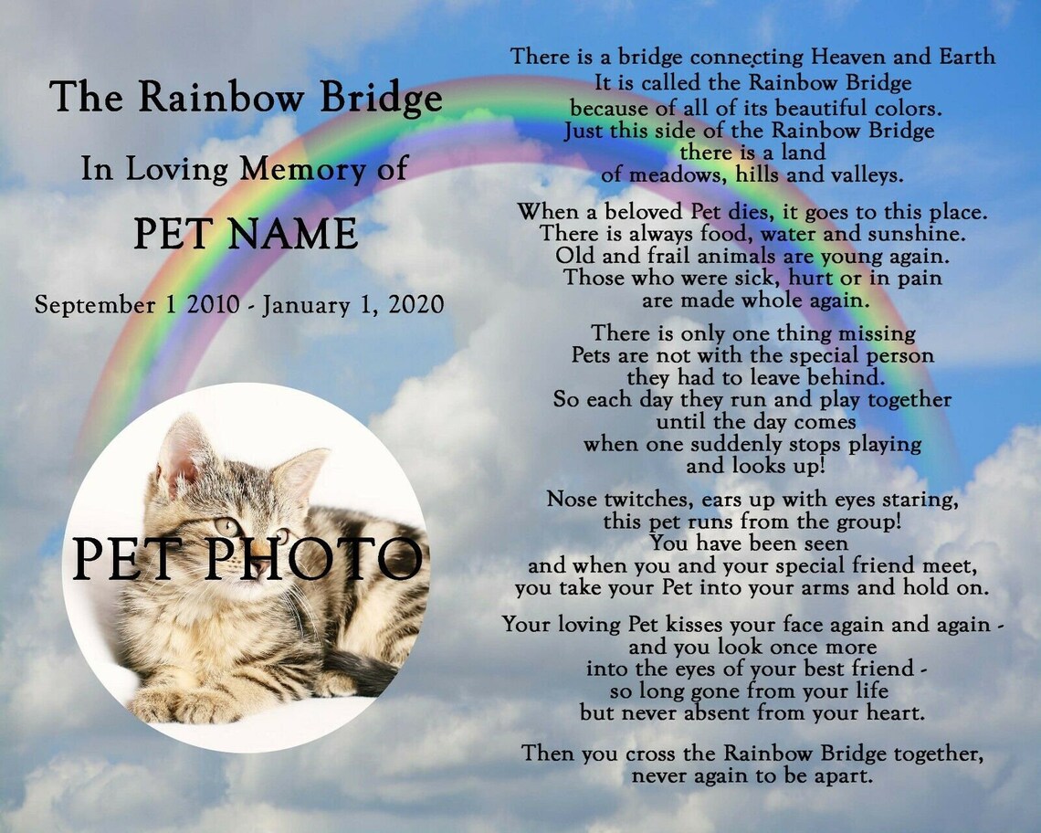 Personalized Rainbow Bridge Pet Loss Memorial Poem Dog Cat 8x10 Print With Photo Unframed - Etsy