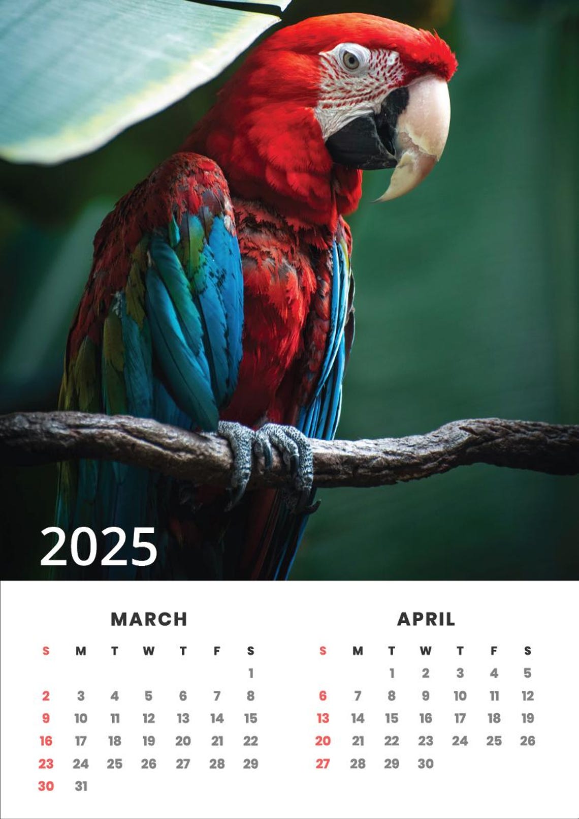 Printable 2025 Birds Calendar A3, A4, A5 Etsy